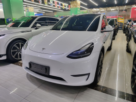 特斯拉 Model Y 2023款 长续航全轮驱动版