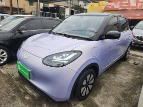 五菱汽车 五菱缤果 2025款 333km 灵犀互联款