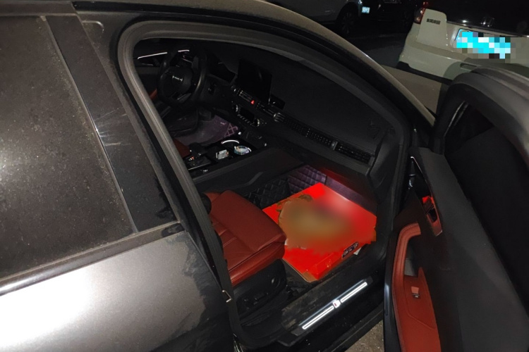 奥迪A4L 2023款 40 TFSI 豪华动感型局部细节9005