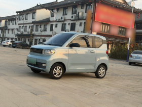 五菱汽车 宏光MINIEV 2020款 自在款 磷酸铁锂