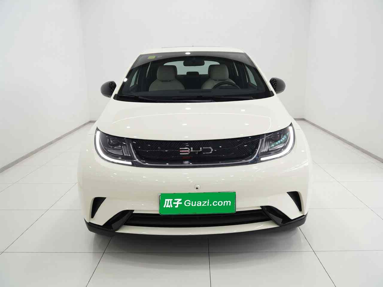 比亚迪 海豚 2025款 420km 自由版(1)