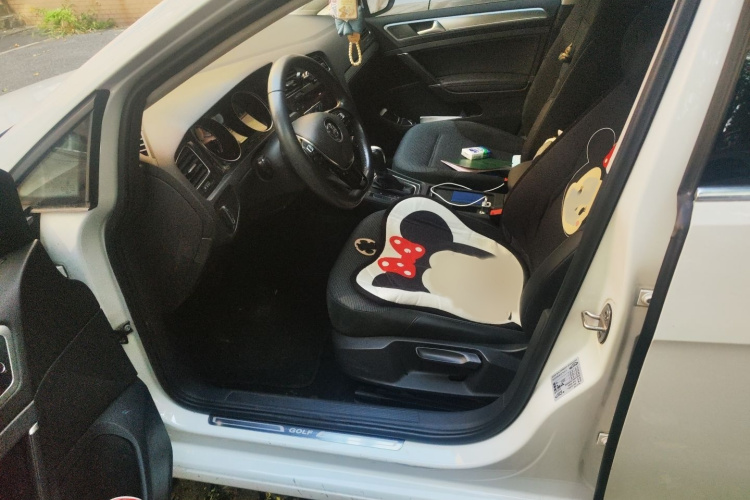 大众 高尔夫 2019款 1.6L 自动舒适型 国V局部细节19