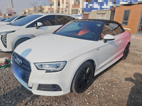 奥迪A3(进口) 2017款 Cabriolet 40 TFSI