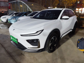 哪吒汽车 哪吒X 2023款 500 Lite