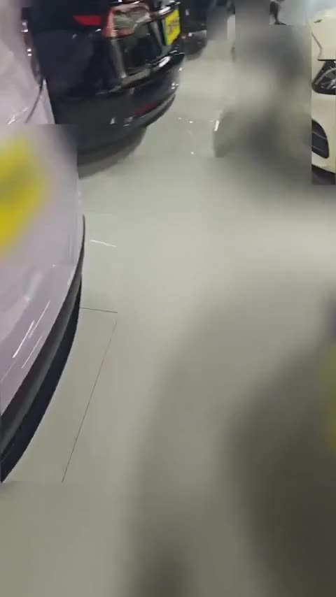 特斯拉 Model 3 2019款 标准续航后驱升级版讲解2