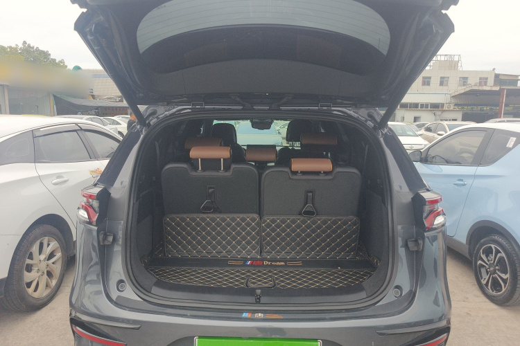 比亚迪 唐新能源 2023款 DM-i 冠军版 112KM 尊荣型局部细节23