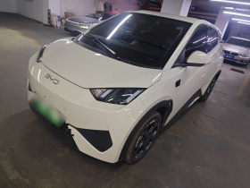 比亚迪 海鸥 2025款 智驾版 305km 自由版