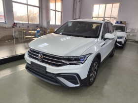 大众 途观L 2022款 330TSI 自动两驱舒享版