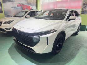 启辰大V 2022款 260T 定制版·爱豆