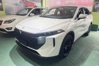 启辰大V 2022款 260T 定制版·爱豆