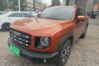 哈弗大狗 2021款 1.5T DCT两驱边牧版