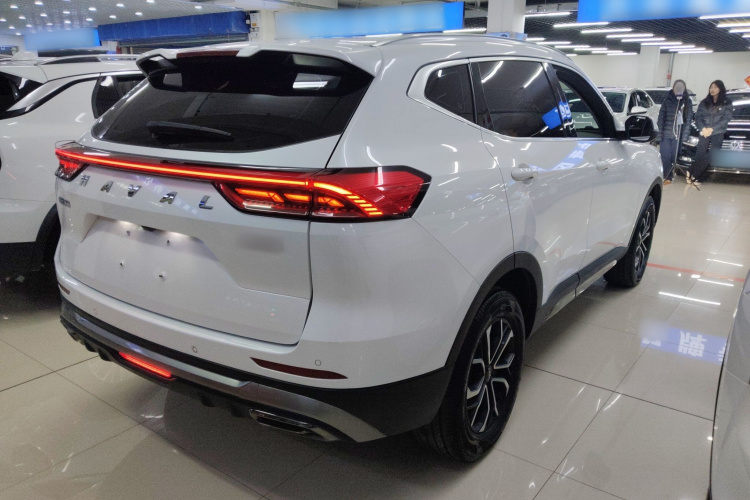 哈弗H6 2023款 国潮版 1.5T 自动都市版车身外观6005