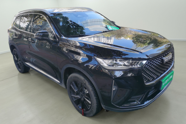 哈弗H6 2024款 2.0T 两驱Max车身外观3