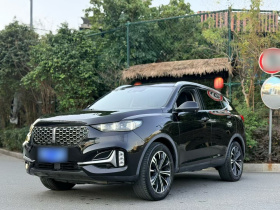 魏牌 VV6 2021款 2.0T 两驱智享+