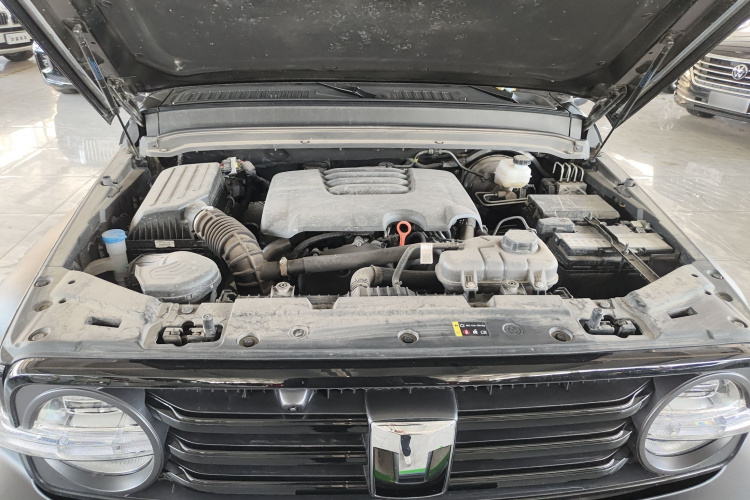 坦克300 2024款 2.0T 征服者机舱底盘24