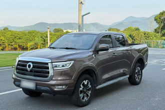 长城 炮 2019款 2.0T自动汽油两驱舒适版GW4C20B