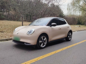 欧拉好猫 2023款 401km标准续航 尊贵型 磷酸铁锂