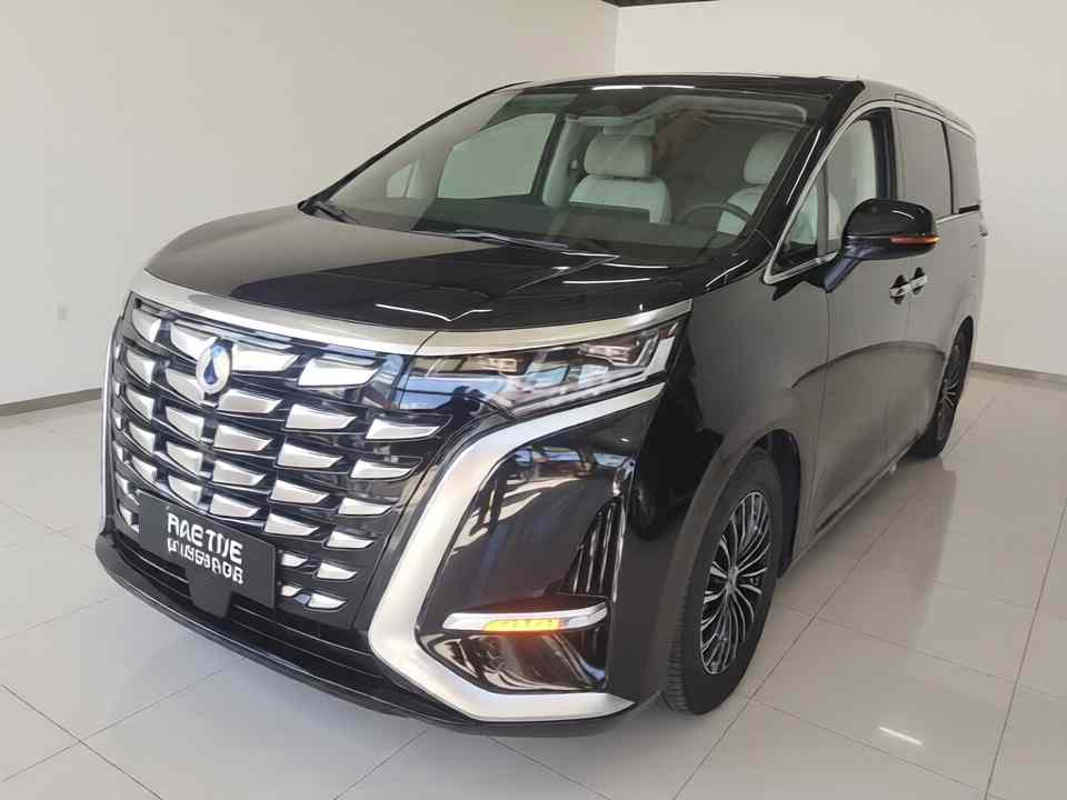 腾势D9 2024款 DM-i 980 四驱尊荣型(2)