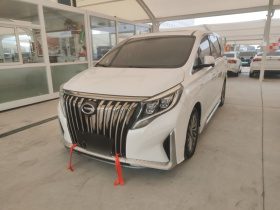 广汽传祺 传祺M8 2021款 大师系列 390T 至尊版