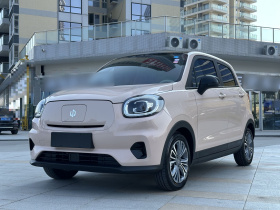 零跑汽车 零跑T03 2024款 403舒享版