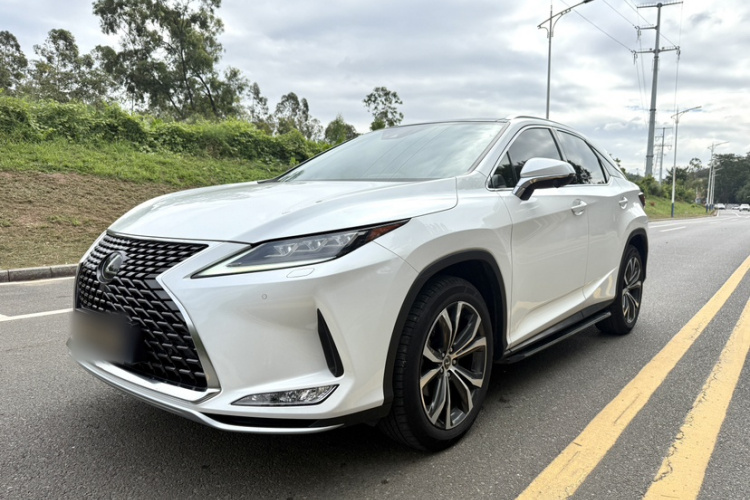 雷克萨斯RX 2020款 300 四驱典雅版 国VI车身外观6005