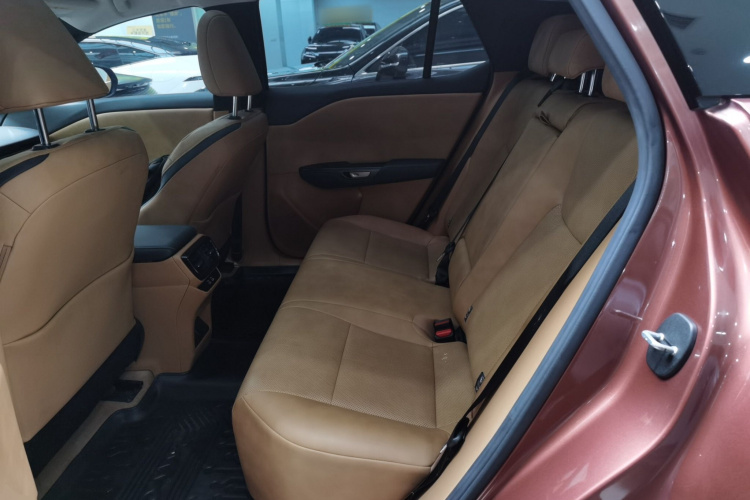 雷克萨斯RZ 2023款 450e 四驱纵享版中控内饰7004