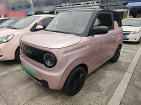 吉利银河 2023款 熊猫mini 200km 耐力熊