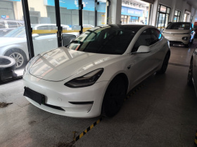 特斯拉 Model 3(进口) 2019款 长续航后驱版
