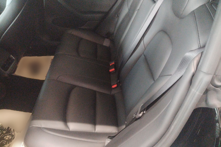 特斯拉 Model 3 2021款 标准续航后驱升级版 3D6中控内饰21