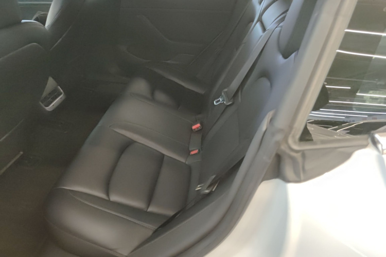 特斯拉 Model 3(进口) 2019款 标准续航后驱升级版(60度)中控内饰21