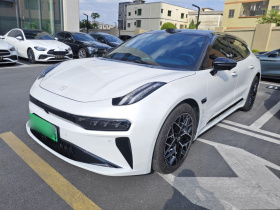 极氪001 2025款 WE版 95kWh 四驱