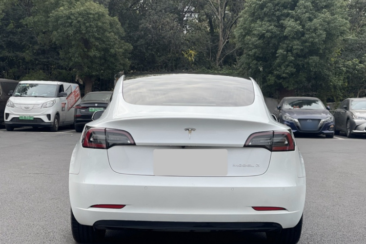 特斯拉 Model 3 2020款 改款 长续航后轮驱动版车身外观6001