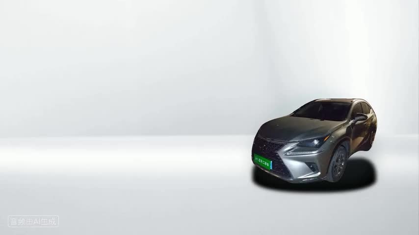 雷克萨斯NX 2020款 300h 前驱 锋尚版 国VI检测视频1