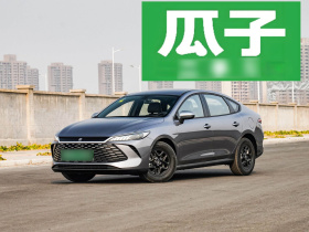 比亚迪 秦PLUS 2025款 DM-i 智驾版 55KM领先型