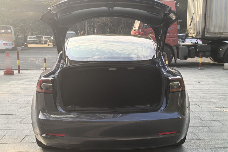 特斯拉 Model 3(进口) 2019款 长续航全轮驱动版局部细节23