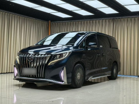 广汽传祺 传祺M8 2021款 领秀系列 390T 豪华版