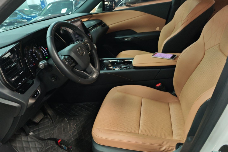 雷克萨斯RX 2023款 350h 两驱悦享版局部细节19