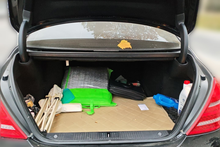 奔驰S级 2010款 S 300 L 商务型局部细节23