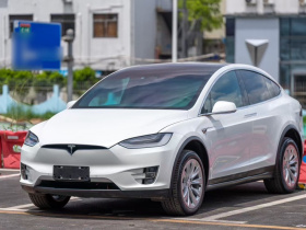 特斯拉 Model X 2019款 长续航版