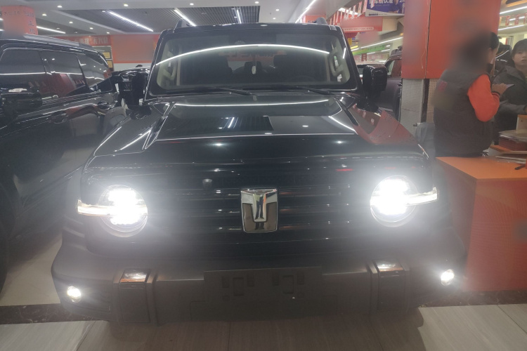 坦克300 2024款 2.0T 挑战者车身外观2