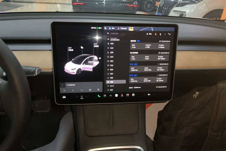 特斯拉 Model 3 2021款 改款 标准续航后驱升级版 3D1局部细节16