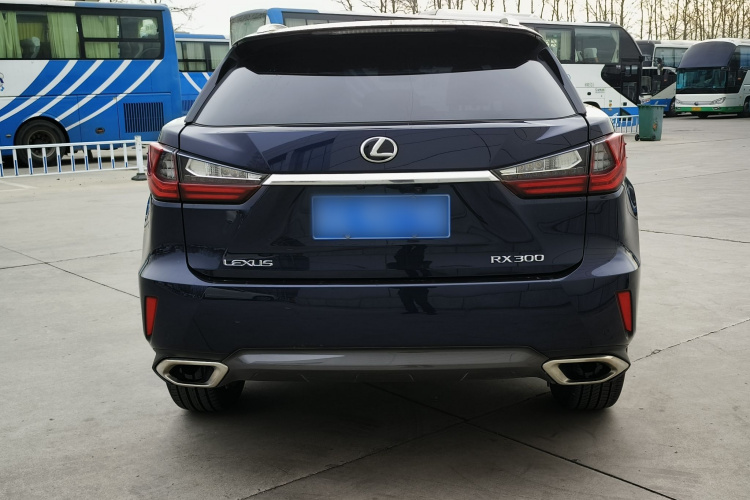 雷克萨斯RX 2016款 300 四驱典雅版 国VI车身外观6005