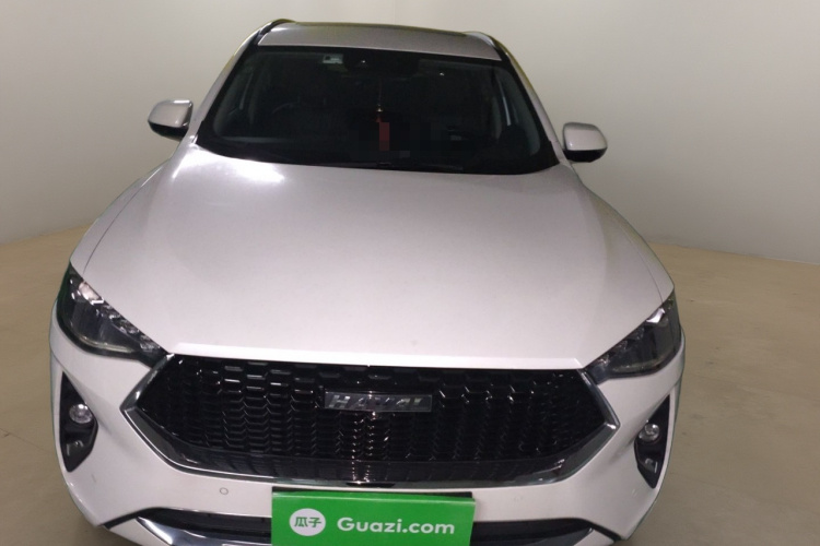 哈弗F7 2019款 2.0T 两驱i范 国V车身外观2