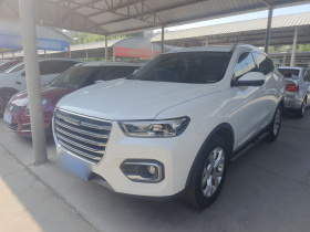 哈弗H6 2020款 1.5GDIT 自动铂金都市版