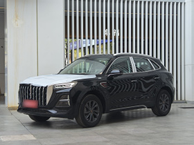 红旗HS5 2023款 2.0T 旗享Pro版