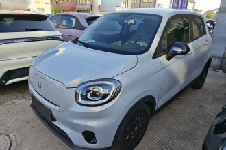 零跑汽车 零跑T03 2023款 403轻享版