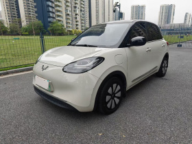 五菱汽车 五菱缤果 2023款 333km 灵犀互联+款