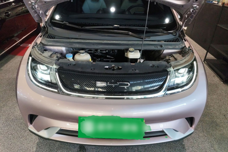 比亚迪 海豚 2021款 405km 时尚版机舱底盘24