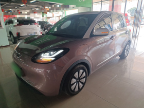 五菱汽车 五菱缤果 2023款 333km 灵犀互联款