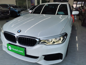宝马5系 2020款 530Li 领先型 M运动套装